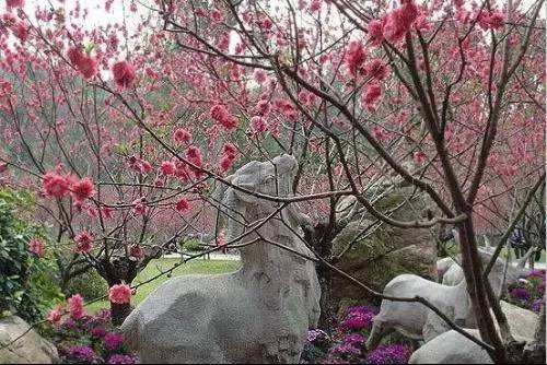连云港有什么地方好玩，连云港有什么地方好玩儿（好好去洗洗肺吧~）