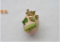 艾叶大蒜煮鸡蛋，五月端午艾煮鸡蛋（赏花踏青尝美食）