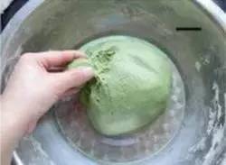 艾叶大蒜煮鸡蛋，五月端午艾煮鸡蛋（赏花踏青尝美食）