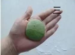 艾叶大蒜煮鸡蛋，五月端午艾煮鸡蛋（赏花踏青尝美食）