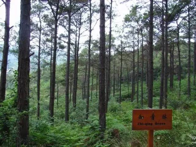 连云港有什么地方好玩，连云港有什么地方好玩儿（好好去洗洗肺吧~）