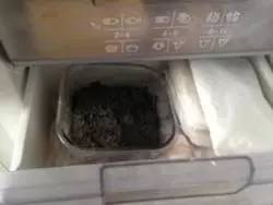 艾叶大蒜煮鸡蛋，五月端午艾煮鸡蛋（赏花踏青尝美食）