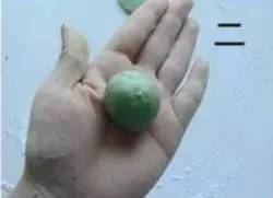 艾叶大蒜煮鸡蛋，五月端午艾煮鸡蛋（赏花踏青尝美食）