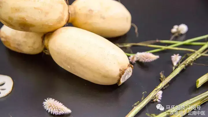 补血的食物有哪些，什么食物可以补血生血（最补血的不是红枣）