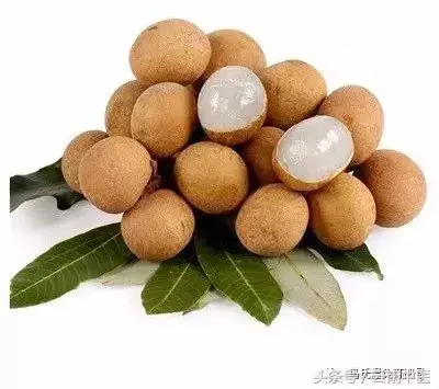 补血的食物有哪些，什么食物可以补血生血（最补血的不是红枣）