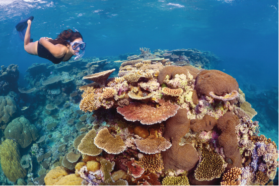 大堡礁的形成原因（澳大利亚大堡礁形成的条件）
