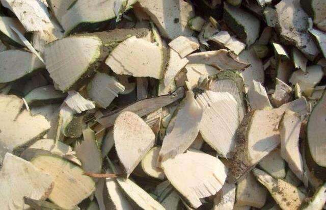 岗梅的功效与作用的功效，岗梅的功效与作用及食用方法（你都不知道岗梅根有多少奇效）