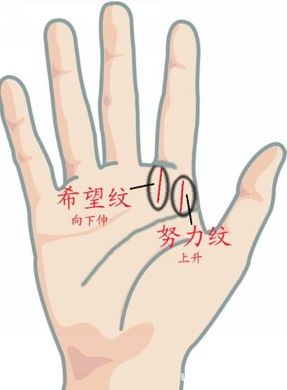 明星的手相 明星手相清晰 - 珍缘易学