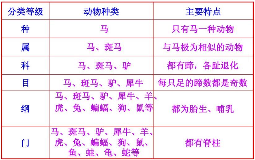 界门纲目科属种分类,新人教版八年级生物上册从种到界知识点讲解 - 玉