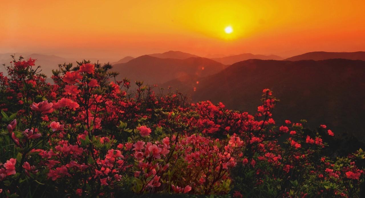 50一60年代红歌老歌，50年代歌曲（发扬红色传统、传承红色基因）