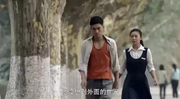 廖芳华是什么电视剧，叫廖芳华的电视剧（这些影视剧的取景地都在西安）