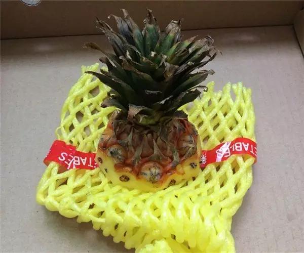 自己怎么种菠萝，怎么在家种植一棵菠萝（如何在家种菠萝）