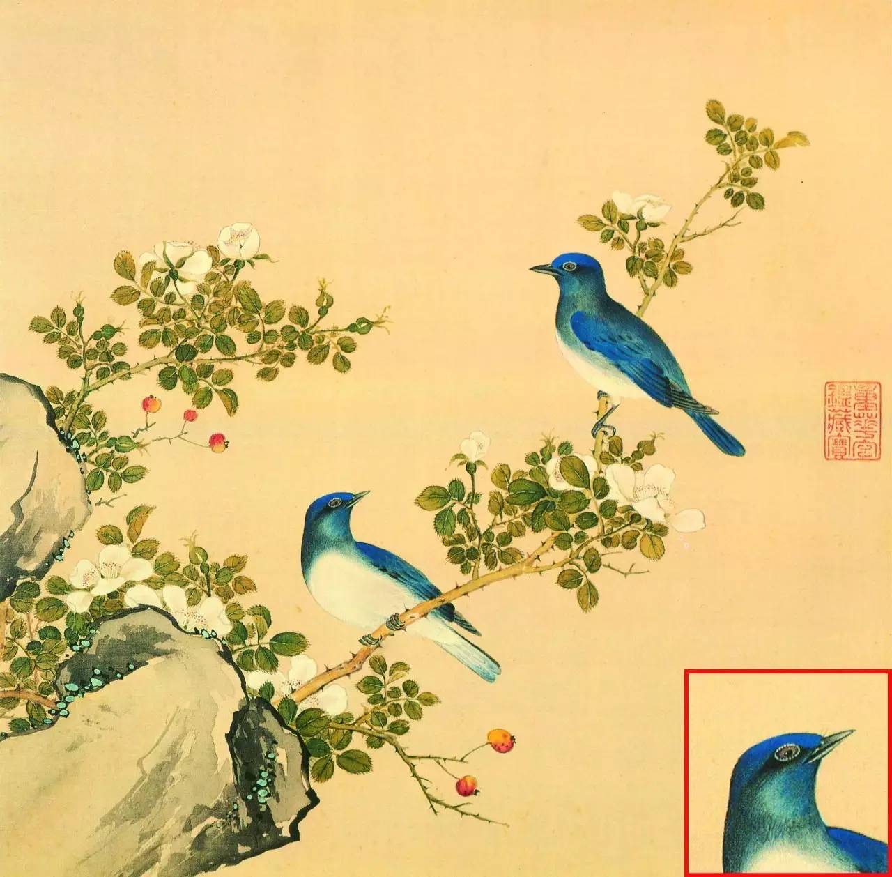 白翎是什么意思 白翎的意思，白翎是什么意思（也爱看鸟：乾隆皇帝的鸟谱珍藏）