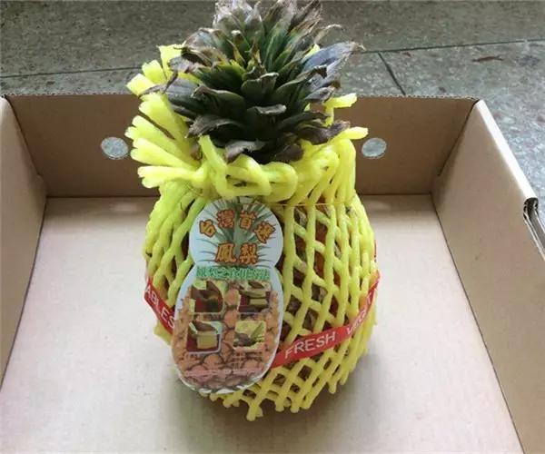 自己怎么种菠萝，怎么在家种植一棵菠萝（如何在家种菠萝）