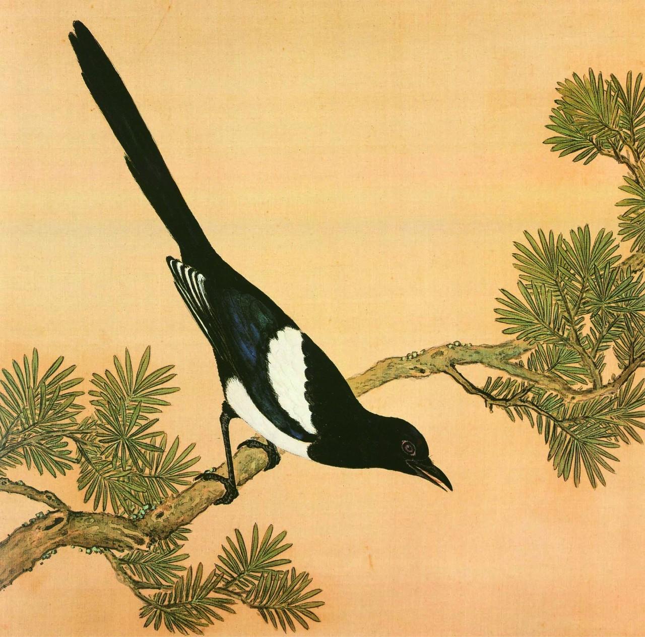 白翎是什么意思 白翎的意思，白翎是什么意思（也爱看鸟：乾隆皇帝的鸟谱珍藏）