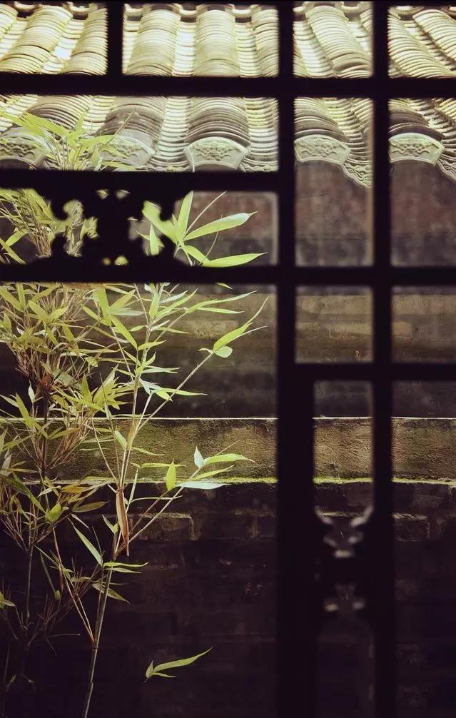 息心即是息灾这句话出自何处，息心的息什么意思（佛说丨何为边际！）