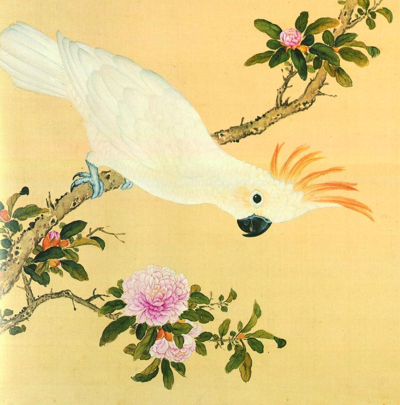 白翎是什么意思 白翎的意思，白翎是什么意思（也爱看鸟：乾隆皇帝的鸟谱珍藏）