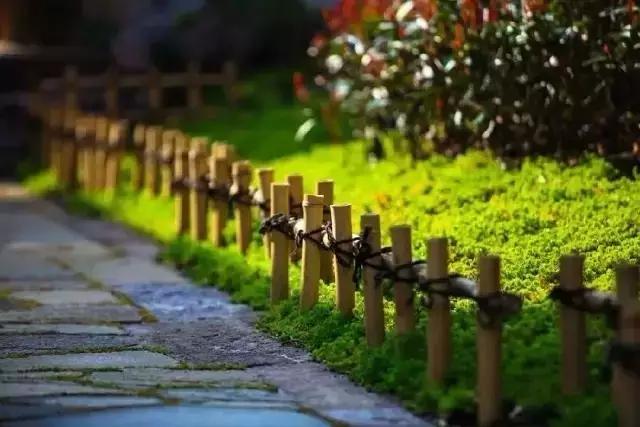 息心即是息灾这句话出自何处，息心的息什么意思（佛说丨何为边际！）