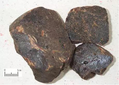 剑叶龙血树能插活吗，剑叶龙血树能插活吗能活多久（跌打损伤血竭疗效好）