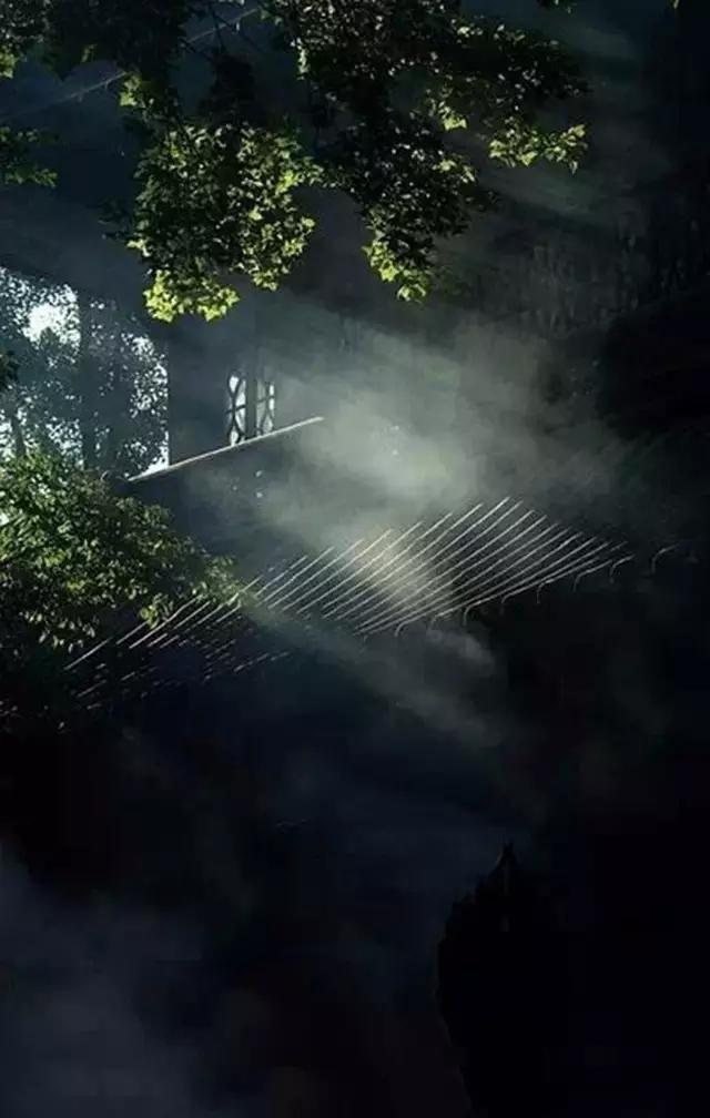 息心即是息灾这句话出自何处，息心的息什么意思（佛说丨何为边际！）