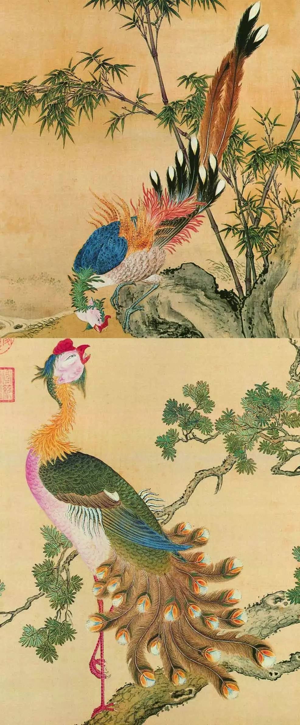 白翎是什么意思 白翎的意思，白翎是什么意思（也爱看鸟：乾隆皇帝的鸟谱珍藏）