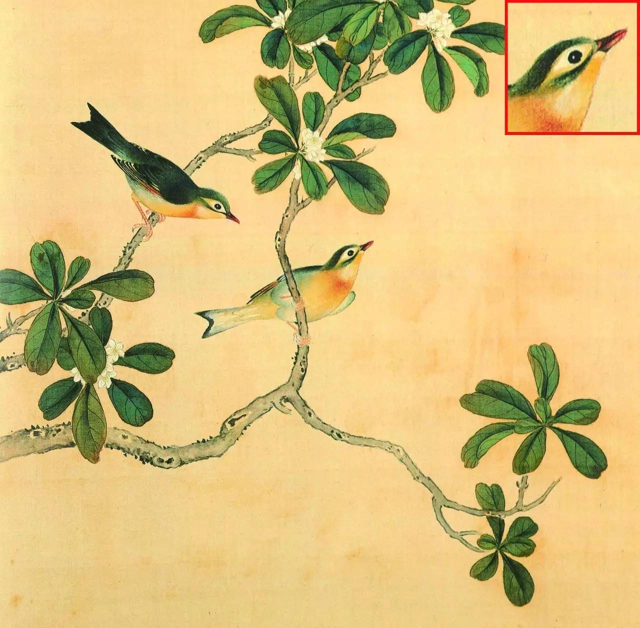 白翎是什么意思 白翎的意思，白翎是什么意思（也爱看鸟：乾隆皇帝的鸟谱珍藏）