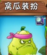 植物大战僵尸窝瓜，植物大战僵尸第几关才能有窝瓜（植物大战僵尸2窝瓜装扮作用介绍）