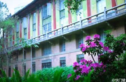 中国人民大学校花，第二届十大最美校花（惊艳全国高校校花谁家最美）