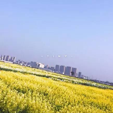 中国人民大学校花，第二届十大最美校花（惊艳全国高校校花谁家最美）