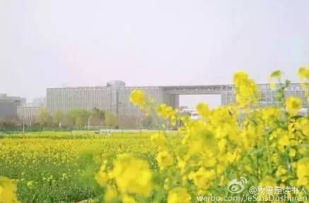 中国人民大学校花，第二届十大最美校花（惊艳全国高校校花谁家最美）