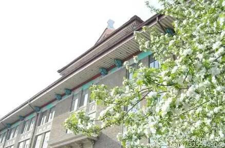 中国人民大学校花，第二届十大最美校花（惊艳全国高校校花谁家最美）