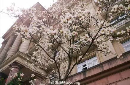 中国人民大学校花，第二届十大最美校花（惊艳全国高校校花谁家最美）