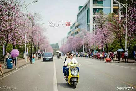 中国人民大学校花，第二届十大最美校花（惊艳全国高校校花谁家最美）