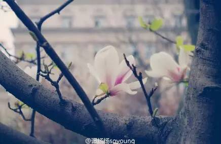 中国人民大学校花，第二届十大最美校花（惊艳全国高校校花谁家最美）