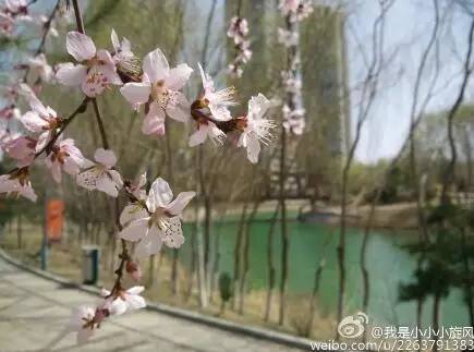 中国人民大学校花，第二届十大最美校花（惊艳全国高校校花谁家最美）