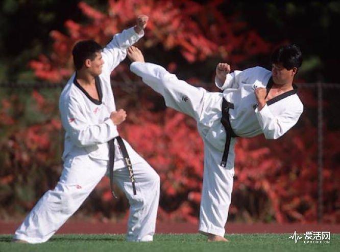 跆拳道级别及腰带颜色，跆拳道级别及腰带颜色有哪些（空手道跆拳道傻傻分不清楚）