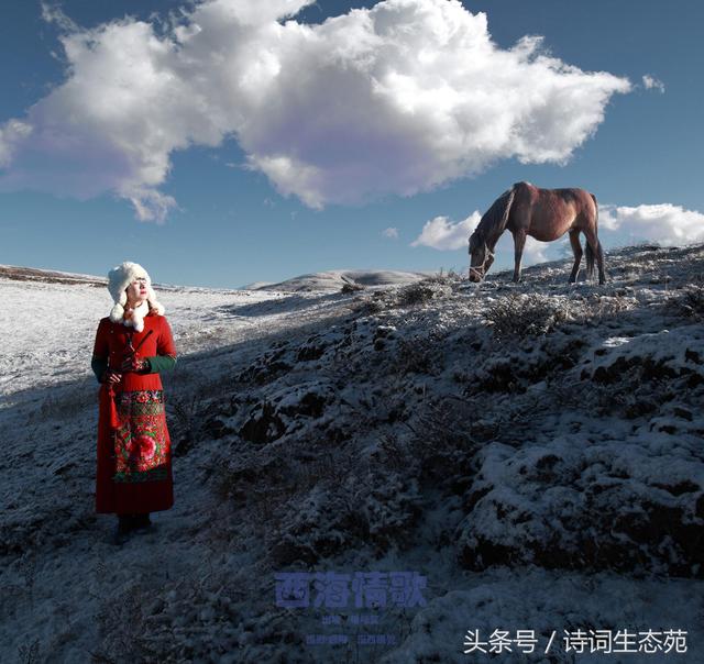 西海情歌的凄美故事，西海情歌的凄美故事简介