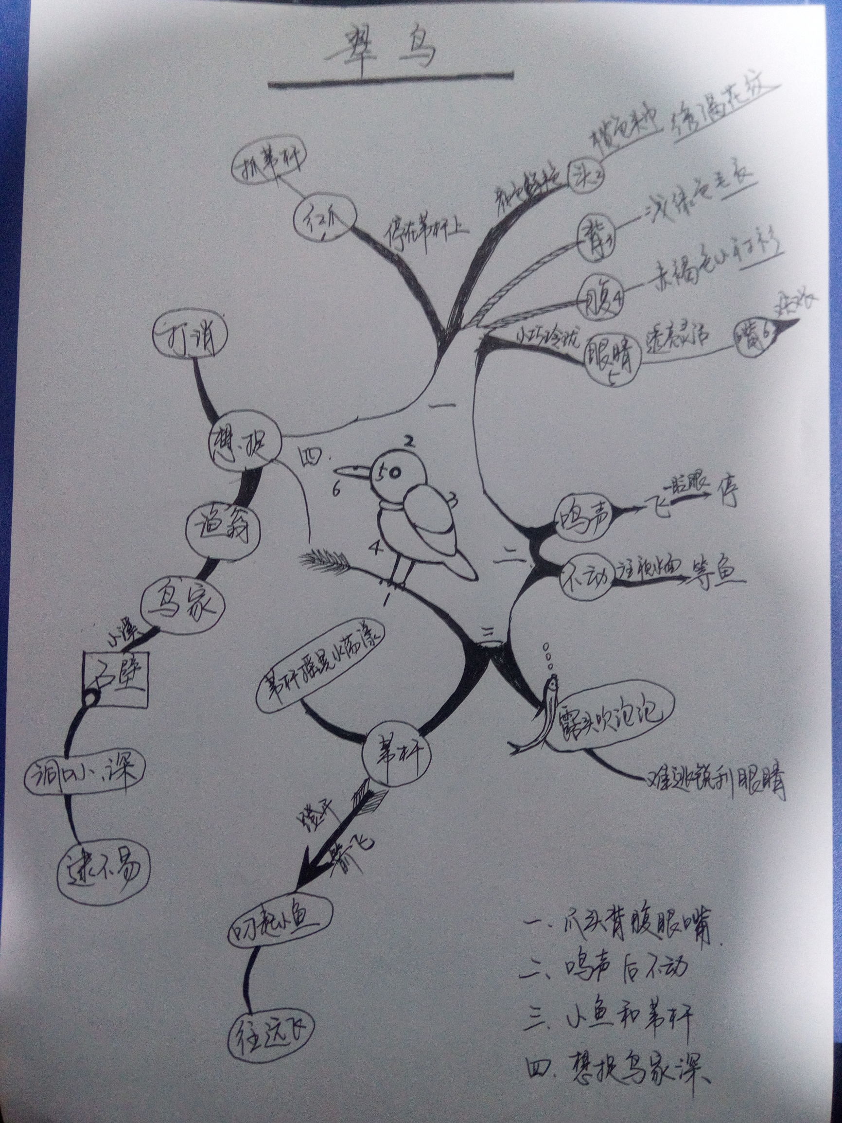 宠物翠鸟多少钱一只（宠物市场上最受欢迎的鸟类宠物排行榜）