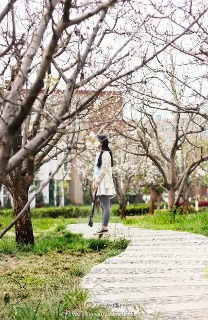 中国人民大学校花，第二届十大最美校花（惊艳全国高校校花谁家最美）