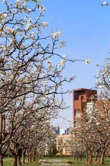 中国人民大学校花，第二届十大最美校花（惊艳全国高校校花谁家最美）