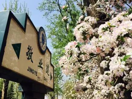 中国人民大学校花，第二届十大最美校花（惊艳全国高校校花谁家最美）