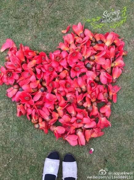 中国人民大学校花，第二届十大最美校花（惊艳全国高校校花谁家最美）