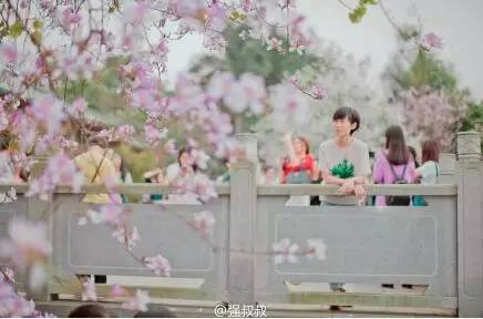 中国人民大学校花，第二届十大最美校花（惊艳全国高校校花谁家最美）