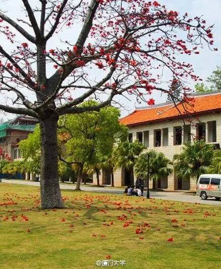 中国人民大学校花，第二届十大最美校花（惊艳全国高校校花谁家最美）