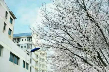 中国人民大学校花，第二届十大最美校花（惊艳全国高校校花谁家最美）