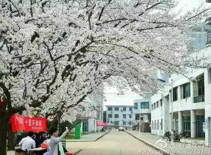 中国人民大学校花，第二届十大最美校花（惊艳全国高校校花谁家最美）