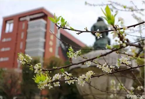 中国人民大学校花，第二届十大最美校花（惊艳全国高校校花谁家最美）