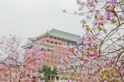 中国人民大学校花，第二届十大最美校花（惊艳全国高校校花谁家最美）