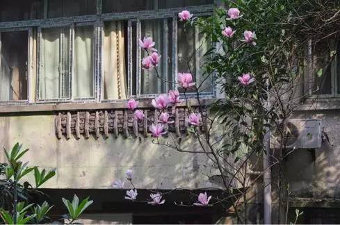 中国人民大学校花，第二届十大最美校花（惊艳全国高校校花谁家最美）