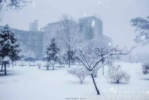 中国人民大学校花，第二届十大最美校花（惊艳全国高校校花谁家最美）